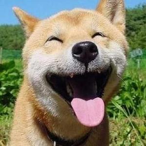 女人自述蒙面舞会经历
