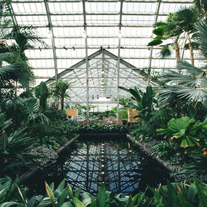 女人自述蒙面舞会经历
