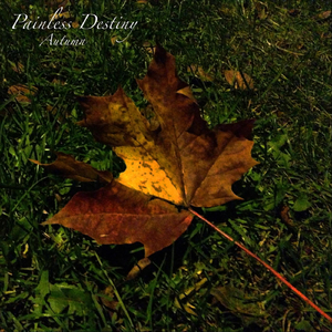 女人自述蒙面舞会经历
